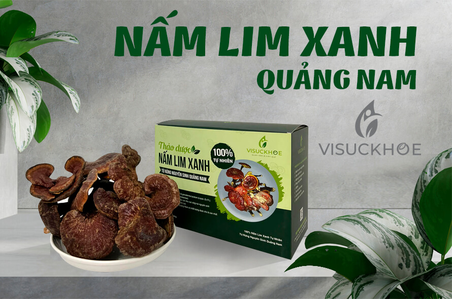 Nấm Lim Xanh Quảng Nam