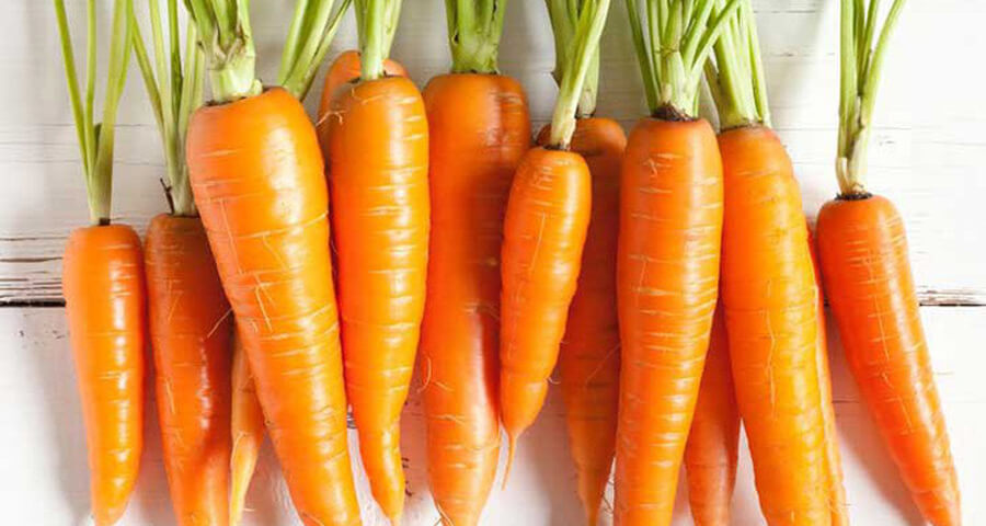 Hàm lượng dinh dưỡng của cà rốt