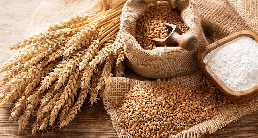 thành phần dinh dưỡng của lúa mì